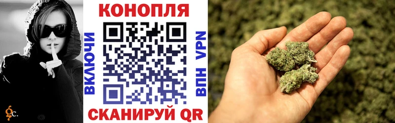 Бошки Шишки планчик  купить наркотики сайты  kraken онион  Сортавала 